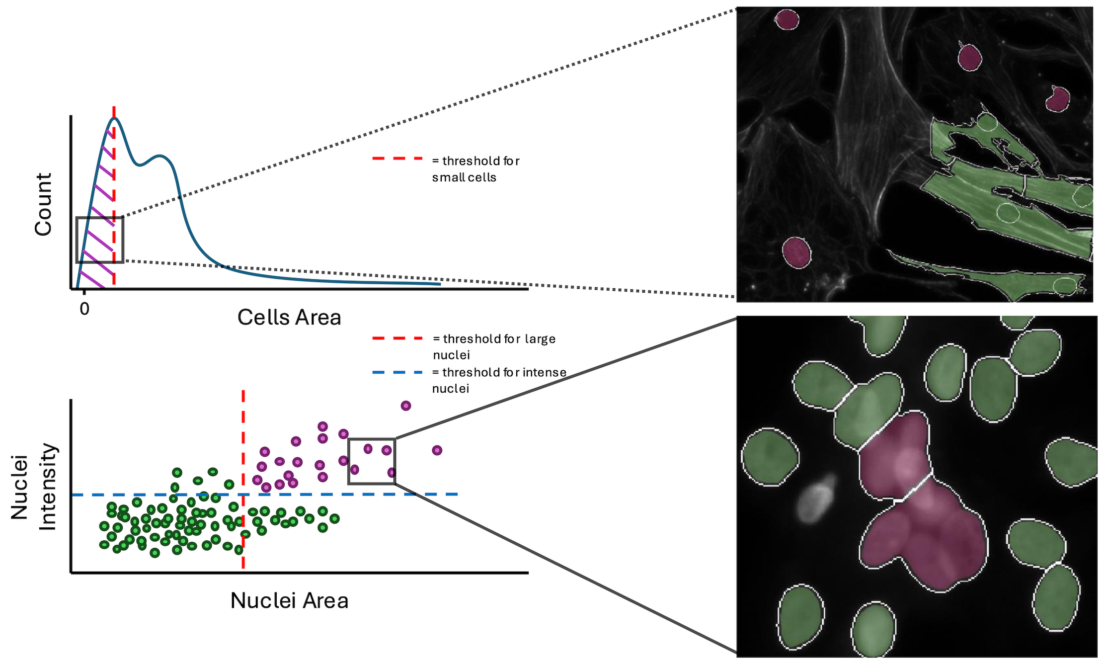 Plots of conditions with example FOVs of good versus failed single cells.